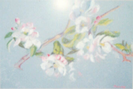 by Evangeline Murray