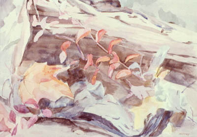 by Evangeline Murray