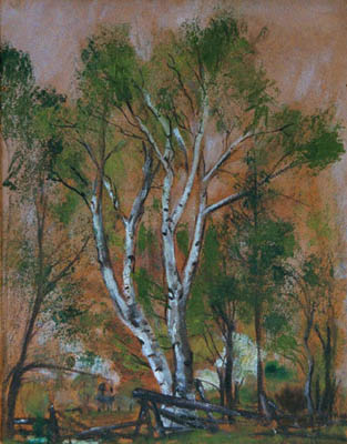 by Evangeline Murray