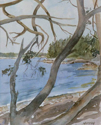 by Evangeline Murray