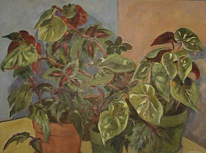 by Evangeline Murray